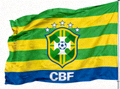 巴西国家队队徽旗帜